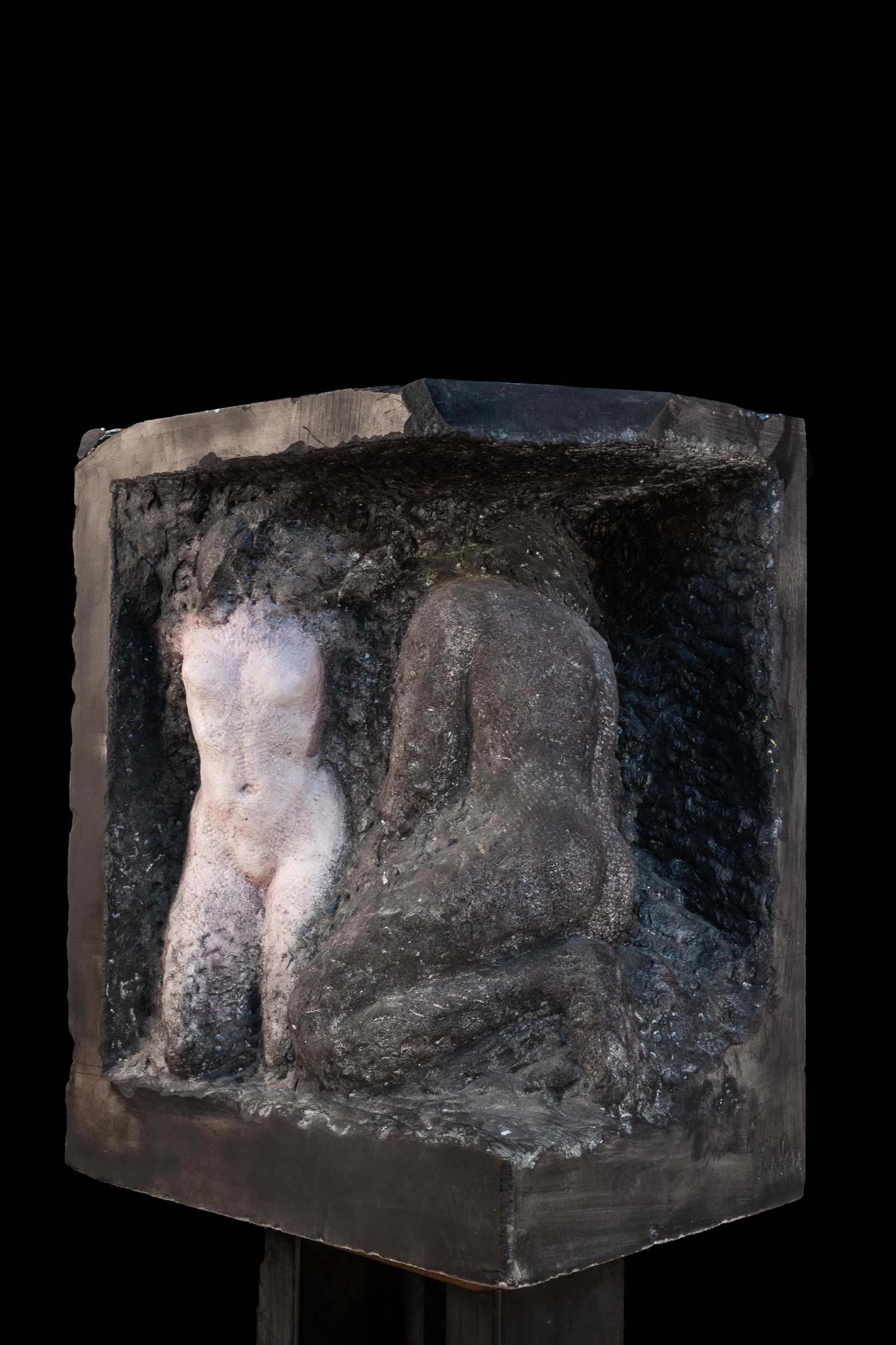 winzer_dg_besenkammer_2008_fig01