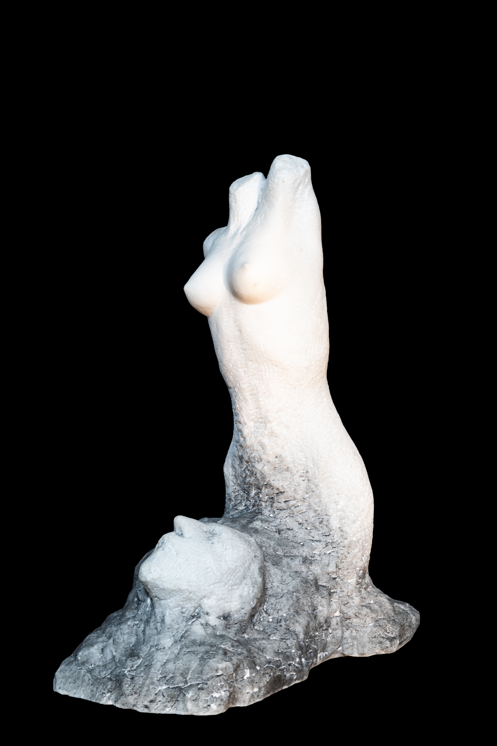 winzer_dg_figd_2008_fig01